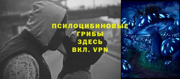 a pvp Алексин