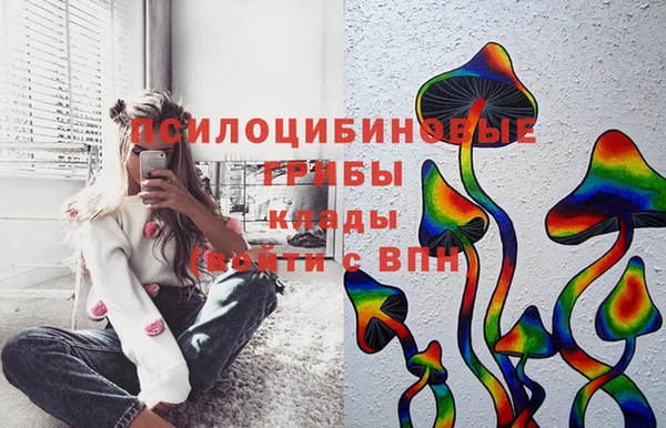 спиды Алзамай