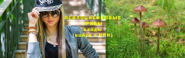 каннабис Алексеевка