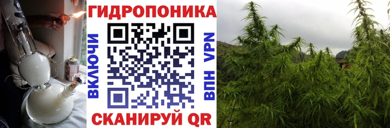 blacksprut tor  Десногорск  Шишки марихуана THC 21%  магазин продажи наркотиков 